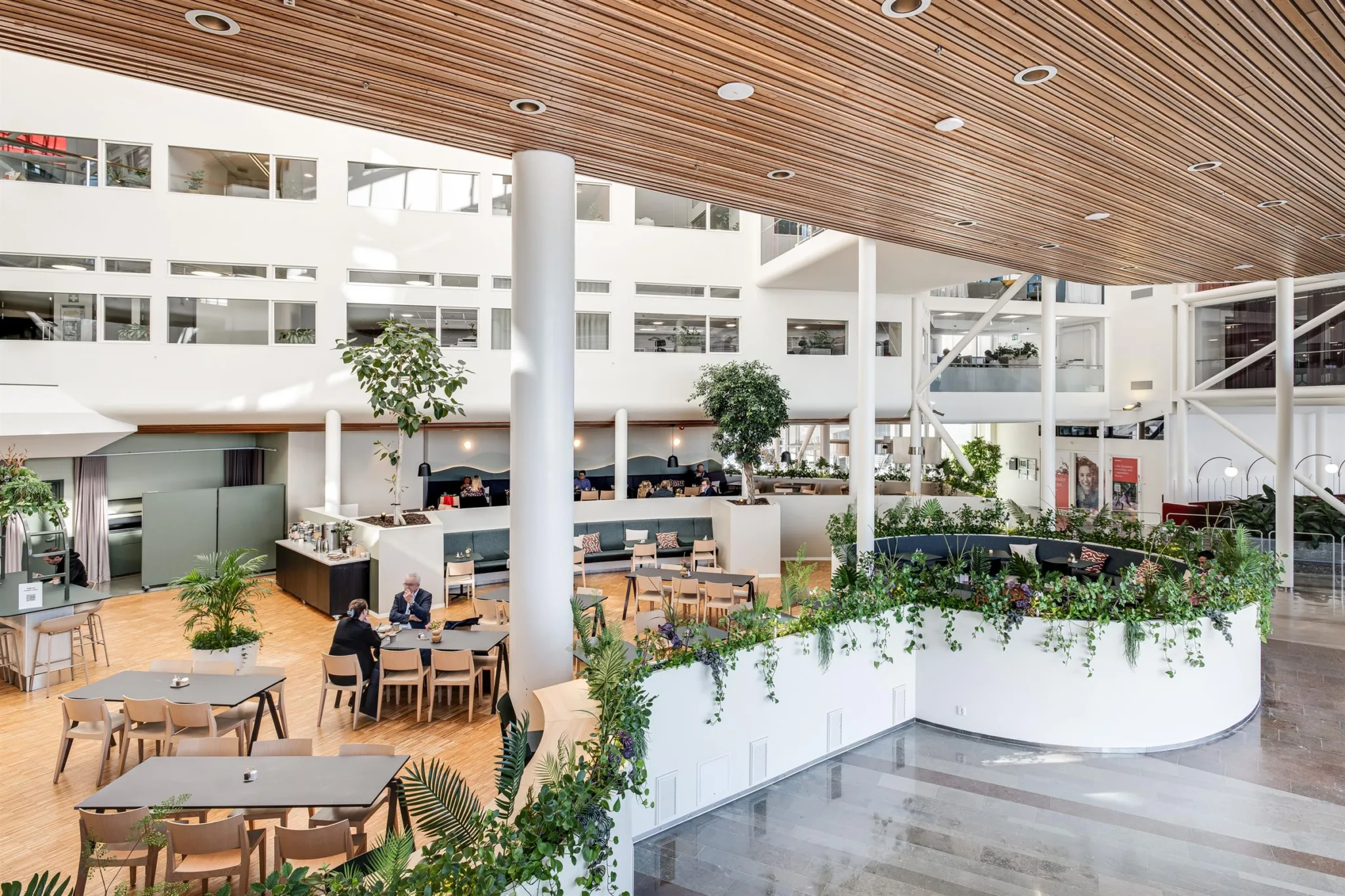 4. Ljust och öppet kontorsutrymme med trädetaljer, grönska och sittplatser.
