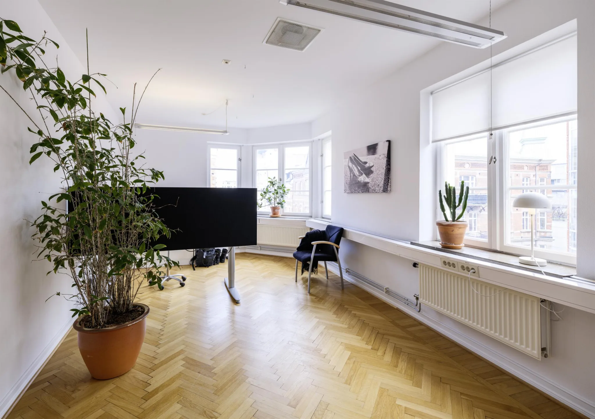 2. Ljust rum med växter, en stor skärm på ett stativ och fönster som släpper in dagsljus.