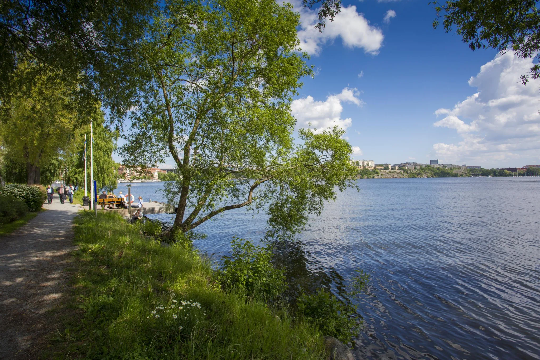 En sjö med klart vatten, träd och gräs vid strandkanten under en blå himmel med moln.