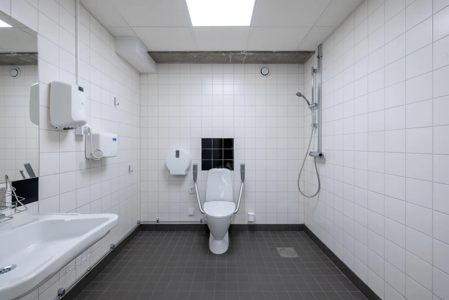 1. Ett handikappanpassat badrum med toalett, dusch och vita väggar.