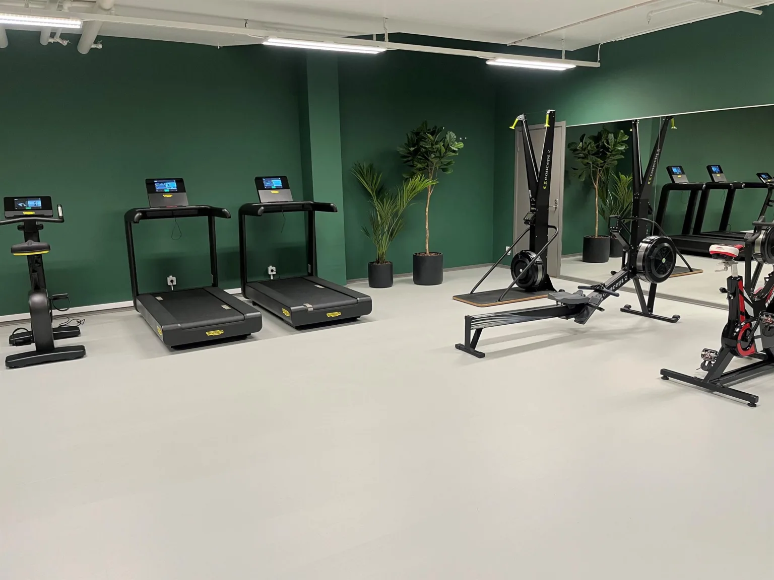 Ett gymrum med två löpband, en roddmaskin, spegelvägg och gröna växter i hörnen.