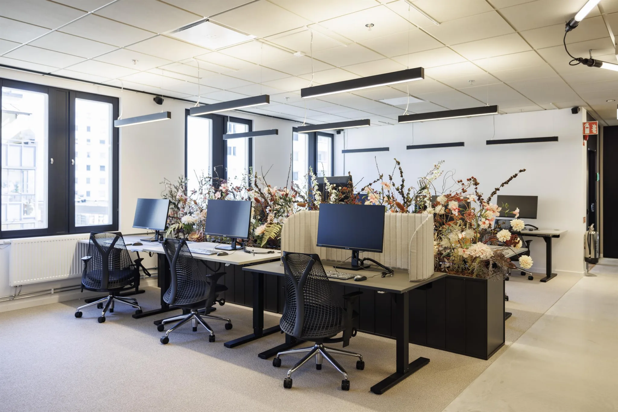 3. Arbetsstationer med datorskärmar, kontorsstolar och dekorativa blommor i ett öppet kontorsutrymme.