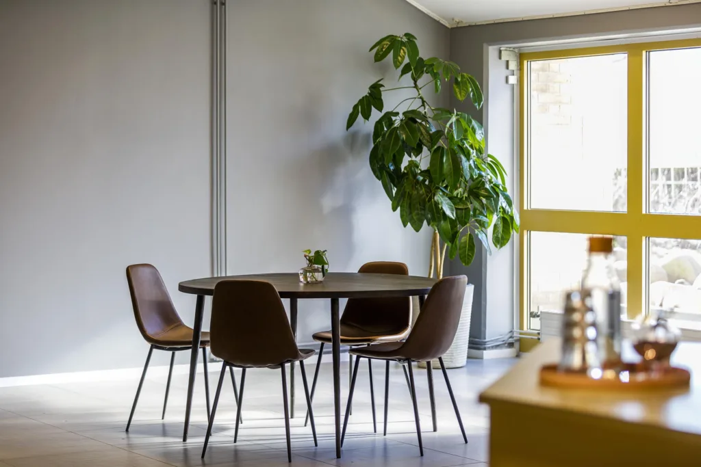 Ett modern inrett rum med ett runt bord, fyra bruna stolar och en stor grön växt vid ett fönster.