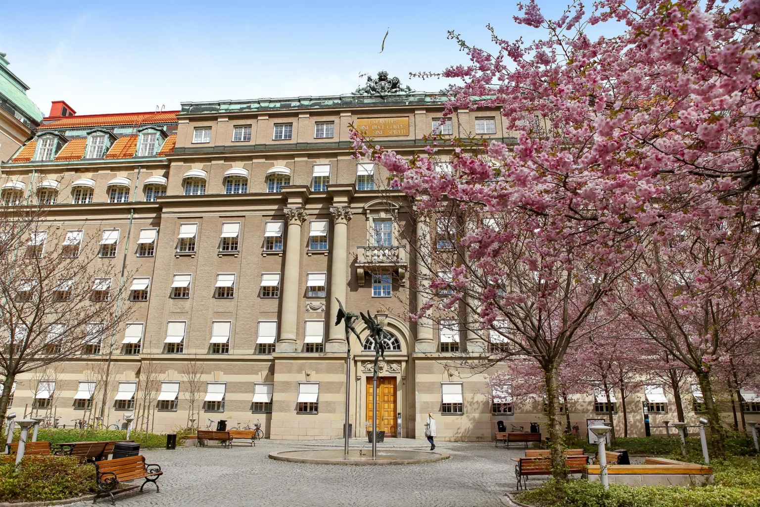 En stor stenbyggnad med körsbärsblommor och en staty framför ingången.
