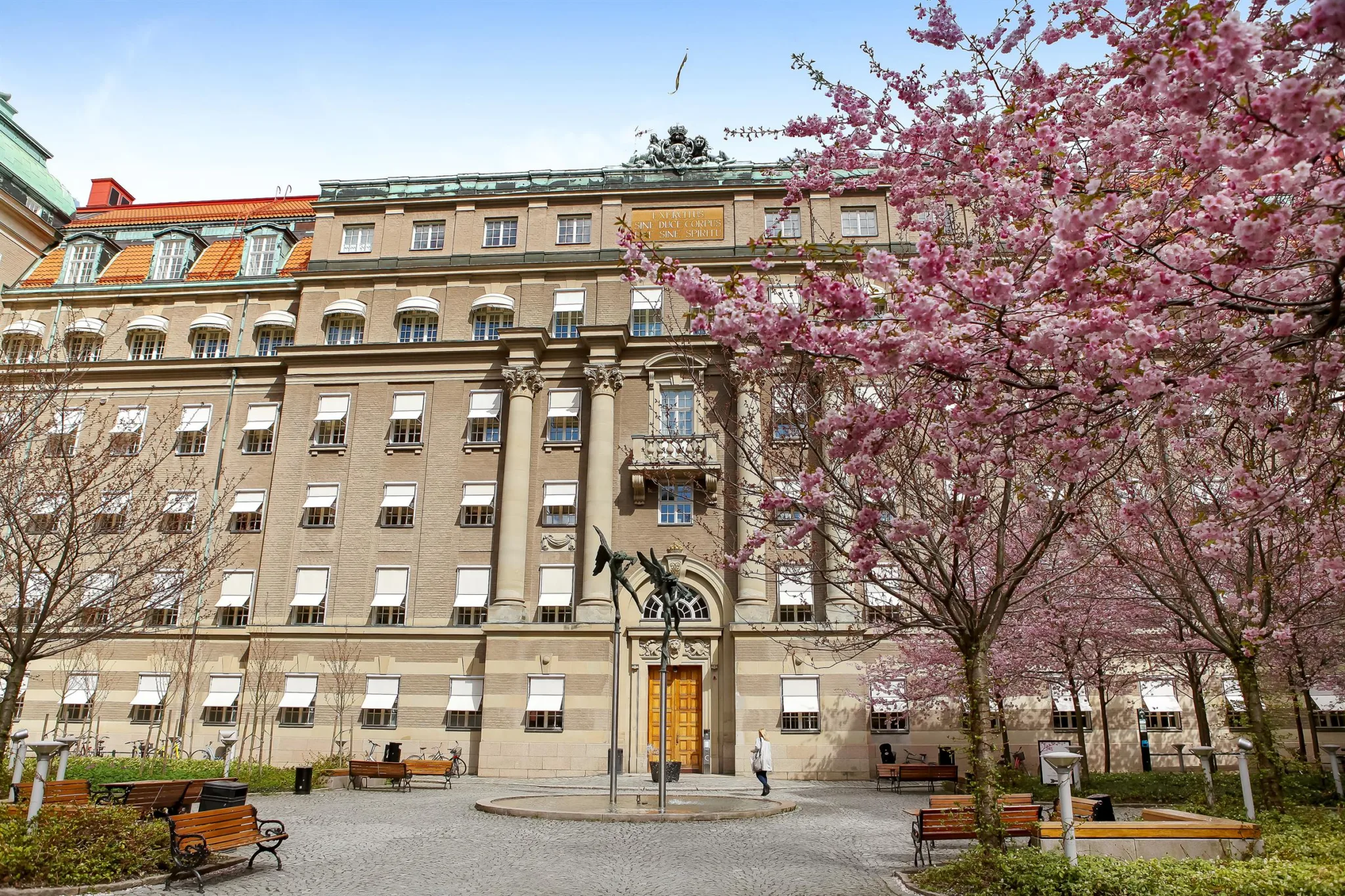 En stor stenbyggnad med körsbärsblommor och en staty framför ingången.