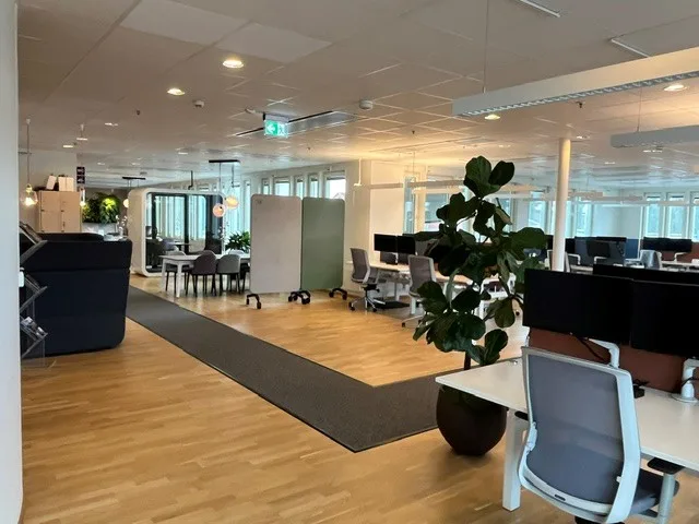 Ett kontorslandskap med skrivbord, kontorsstolar, växter och trägolv.