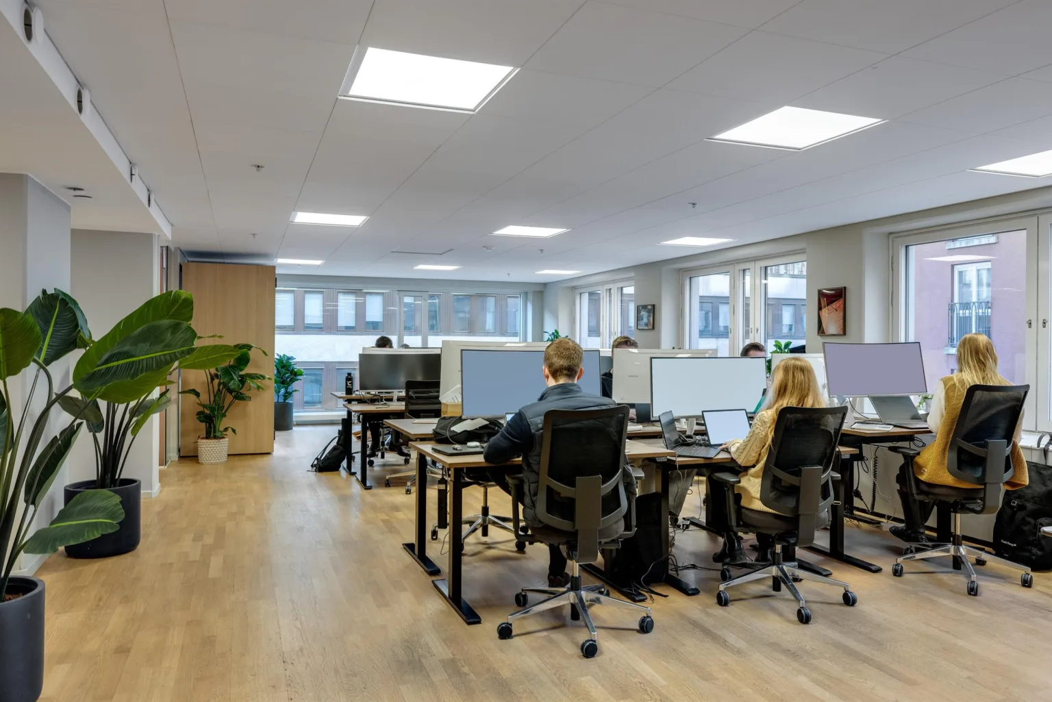 Ett öppet kontorslandskap med flera personer som arbetar vid skrivbord med datorer, ljust trägolv och stora fönster.