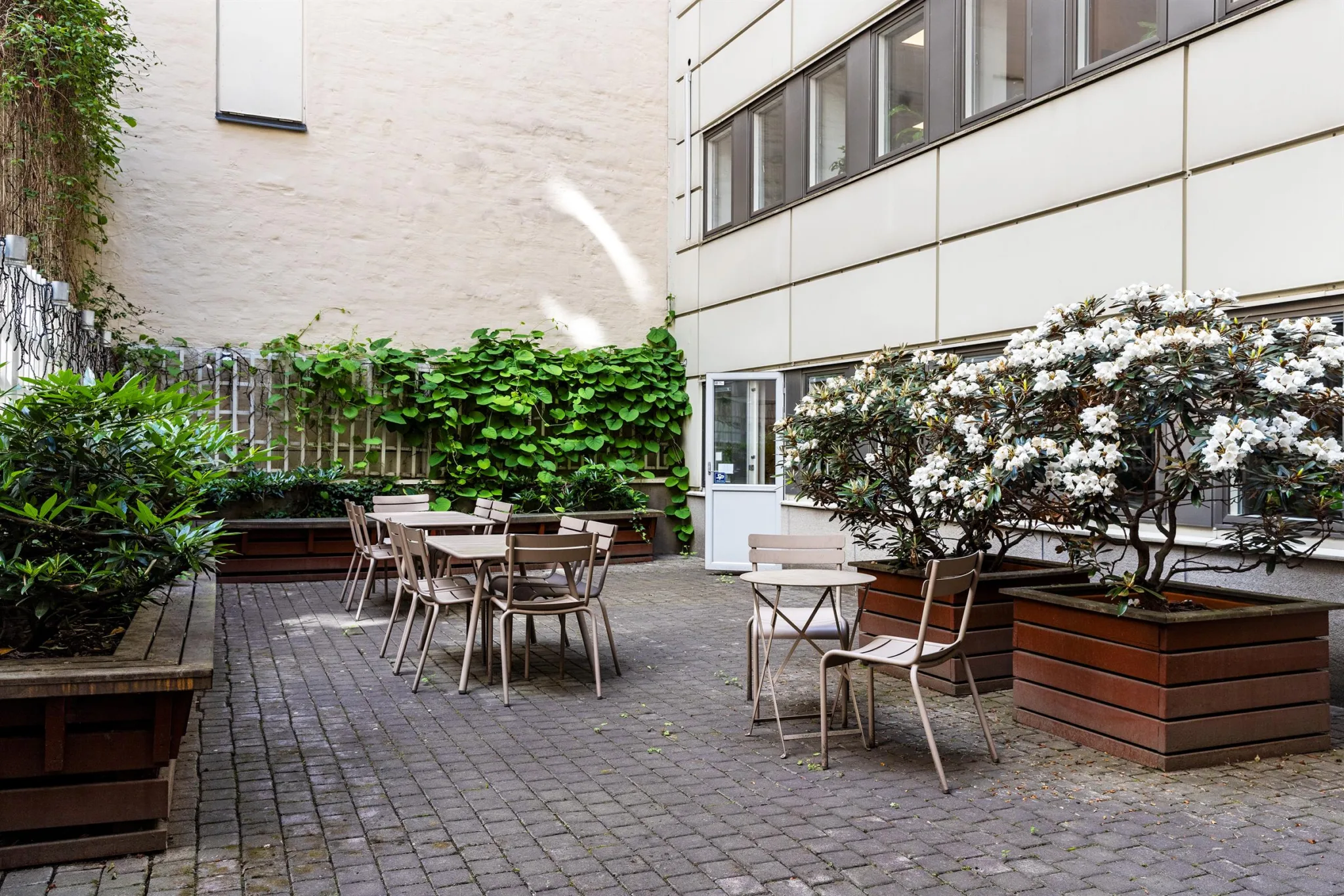 En innergård med bord och stolar omgiven av grönska, inklusive klätterväxter och blommande buskar. En vit byggnad syns i bakgrunden.